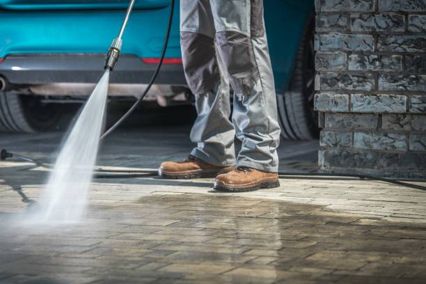Best Roof Washing  in Martinsvle, IL
