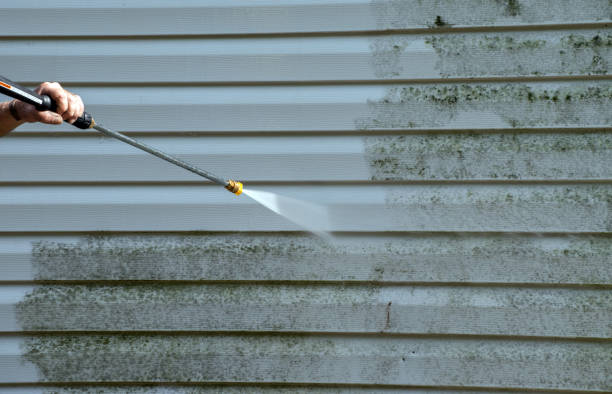 Best Animal Enclosure Cleaning  in Martinsvle, IL